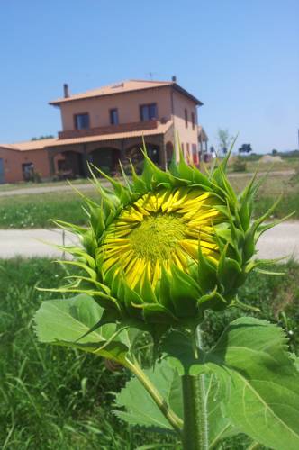 Venturina Terme Italien Last-Minute-Rabattcode Booking.com