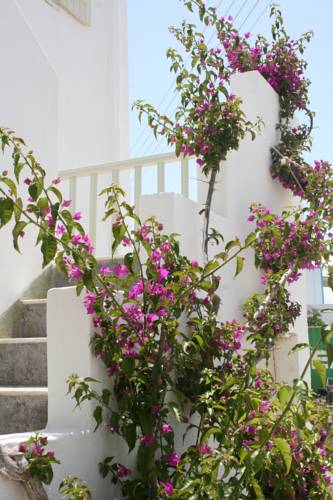 Antiparos Town Greece Last Minute Discount Code Booking.com