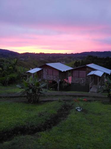 Copal Costa Rica Last Minute Discount Code Booking.com