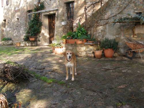 Perugia Italien Last-Minute-Rabattcode Booking.com