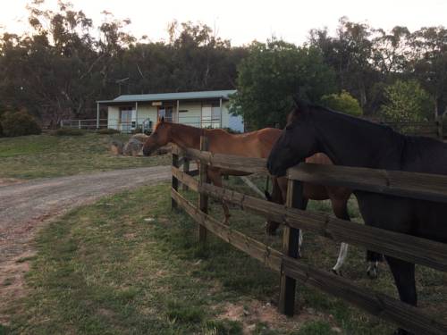 Wangaratta Australia Last Minute Discount Code Booking.com