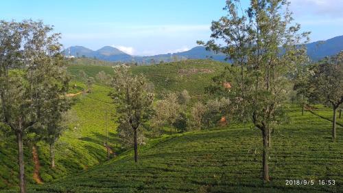 Ooty India Last Minute Discount Code Agoda.com