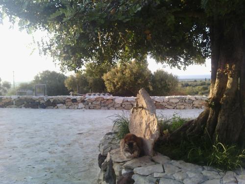 Orosei Italy Last Minute Discount Code Agoda.com