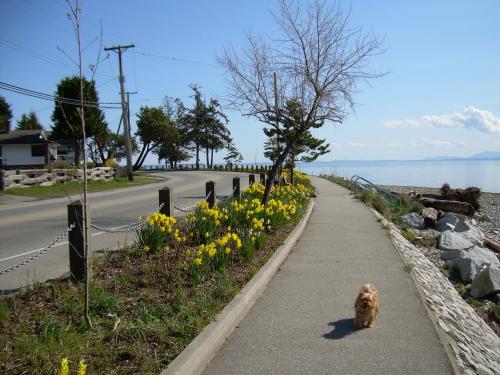 Davis Bay (BC) Canada Last Minute Discount Code Agoda.com