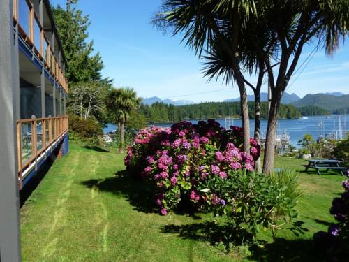 Tofino (British Columbia) Canada Last Minute Discount Code Booking.com