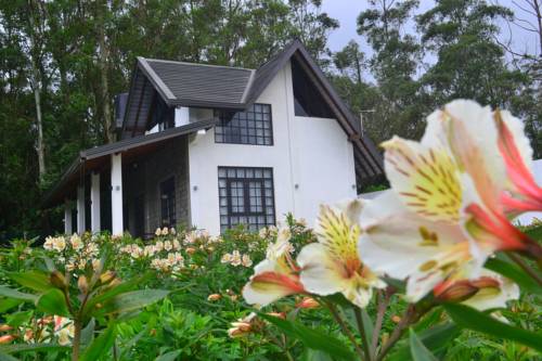 Nuwara Eliya Sri Lanka Last Minute Discount Code Booking.com