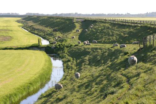 Warmenhuizen Niederlande Last-Minute-Rabattcode Booking.com