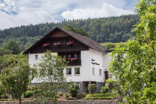 Willingen Germany Last Minute Discount Code Booking.com