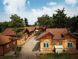 Sokcho-si South Korea Last Minute Discount Code Agoda.com