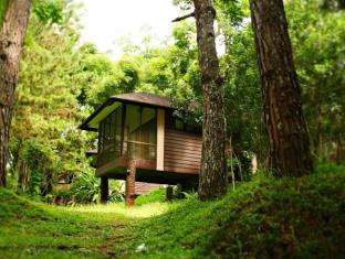 Davao City Philippines Last Minute Discount Code Agoda.com