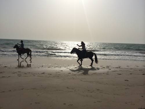 Palmarin Senegal Last Minute Discount Code Booking.com