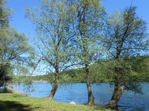 Castelletto sopra Ticino Italy Last Minute Discount Code Booking.com