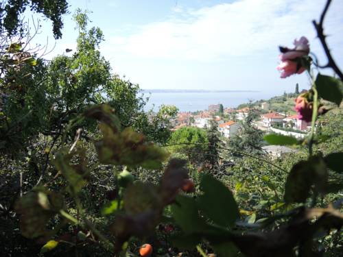 Portoroz Slovenia Last Minute Discount Code Booking.com