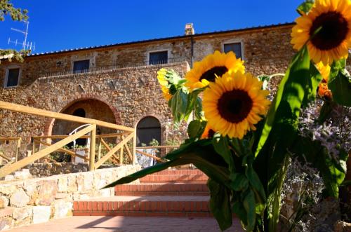 Campiglia Marittima Italy Last Minute Discount Code Agoda.com