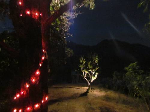Dehradun India Último Minuto Código de Descuento Booking.com