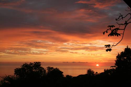 Dominical Costa Rica Last Minute Discount Code Booking.com
