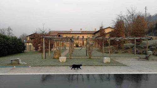 Novello Italy Last Minute Discount Code Agoda.com