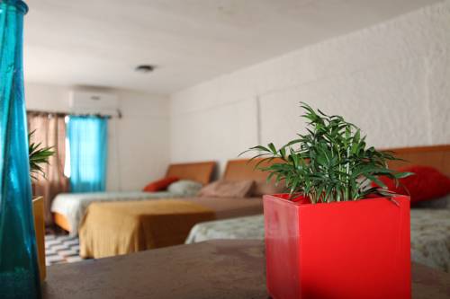 Oranjestad Aruba Last Minute Discount Code Booking.com