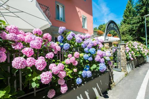 Bivigliano Italien Last-Minute-Rabattcode Booking.com