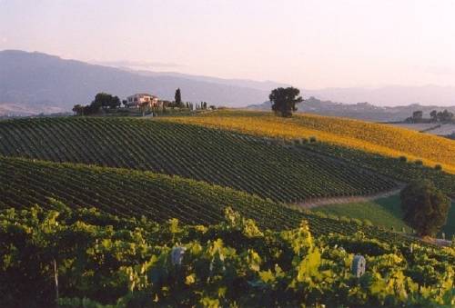 Acquaviva Picena Italien Last-Minute-Rabattcode Booking.com