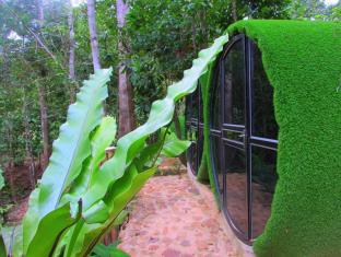Kuala Tahan Malaysia Last Minute Discount Code Agoda.com