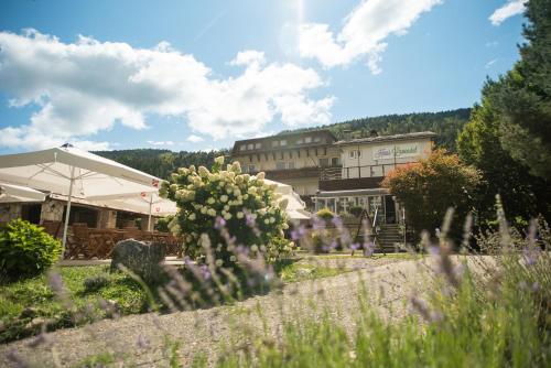 Ossiach Austria Last Minute Discount Code Agoda.com