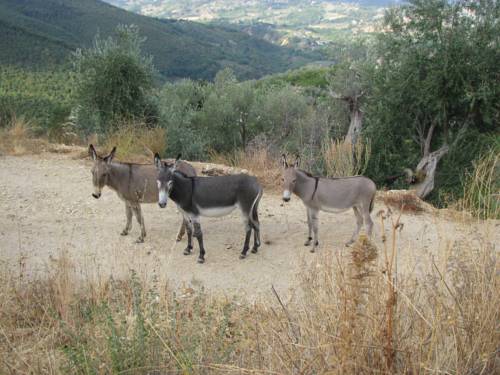Roccantica Italy Last Minute Discount Code Booking.com