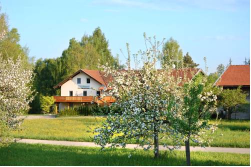 Taching am See Germany Last Minute Discount Code Booking.com