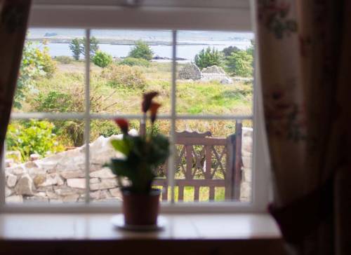 Canower Irlanda Último Minuto Código de Descuento Booking.com