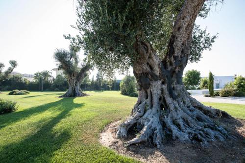 Latiano Italy Last Minute Discount Code Agoda.com