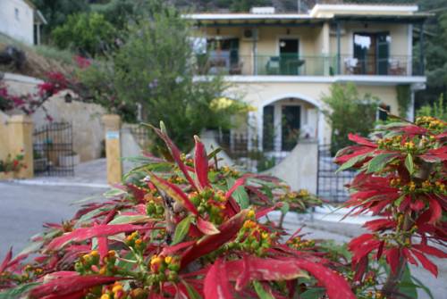 Paleokastritsa Grèce Code de réduction de dernière minute Booking.com