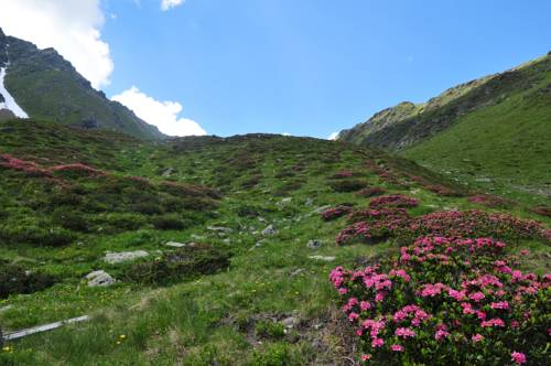Sankt Jakob in Defereggen Austria Last Minute Discount Code Booking.com