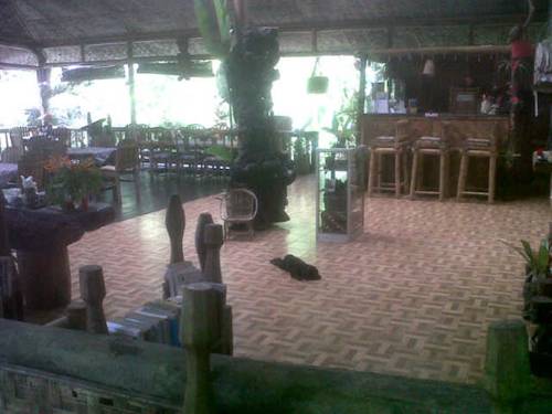 Tomohon Indonesia Last Minute Discount Code Booking.com