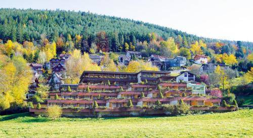 Bad Wildbad Germany Last Minute Discount Code Booking.com