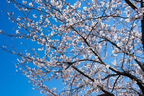 Karatsu Japan Last Minute Discount Code Agoda.com