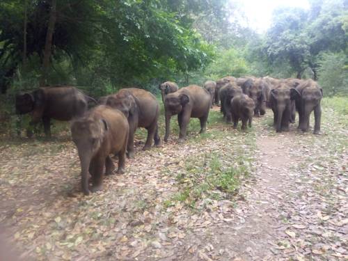 Embilipitiya Sri Lanka Last Minute Discount Code Booking.com