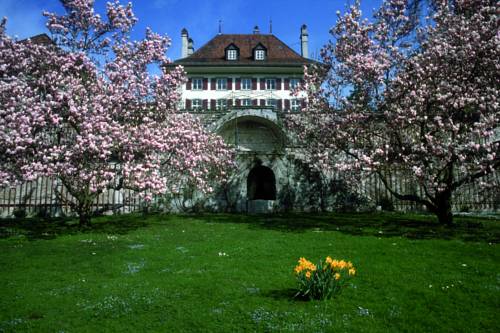 Gerzensee Schweiz Last-Minute-Rabattcode Booking.com