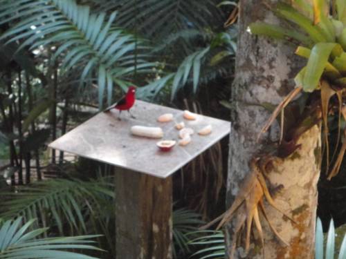 Itatiaia Brazil Last Minute Discount Code Booking.com