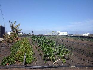 Lanzarote Spain Last Minute Discount Code Agoda.com