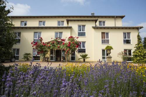 Dettingen am Main Germany Last Minute Discount Code Booking.com