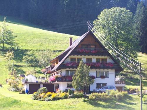 Bad Rippoldsau-Schapbach Germany Last Minute Discount Code Booking.com