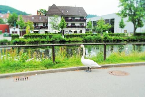 Nagold Germany Last Minute Discount Code Booking.com