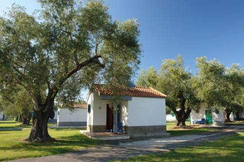 Marina di Ascea Italien Last-Minute-Rabattcode Booking.com