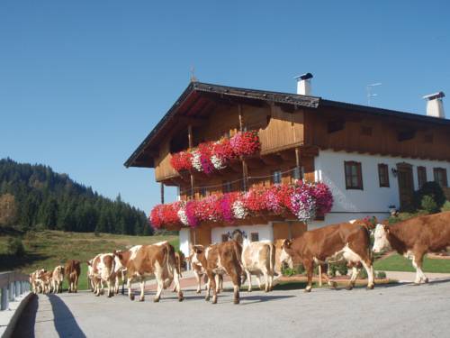 Wildschönau Austria Last Minute Discount Code Booking.com