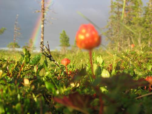 Vemdalen Sweden Last Minute Discount Code Booking.com