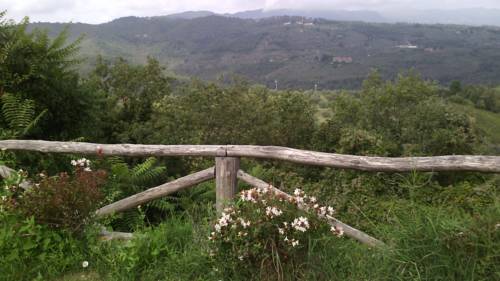 Montevarchi Italy Last Minute Discount Code Booking.com