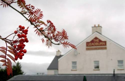 Penicuik United Kingdom Last Minute Discount Code Booking.com