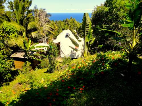 Saint Joseph Réunion Code de réduction de dernière minute Booking.com