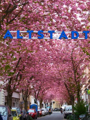 Bonn Germany Last Minute Discount Code Booking.com