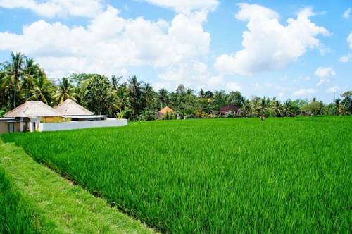 Ubud Indonesia Último Minuto Código de Descuento Booking.com